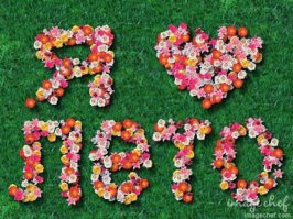 123 дня до лета