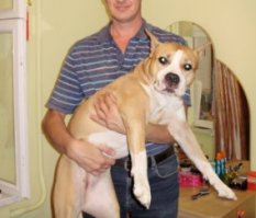 Моё животное)) всего 40 кг.