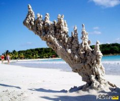 Вот что бывает когда молния попадает в песок: