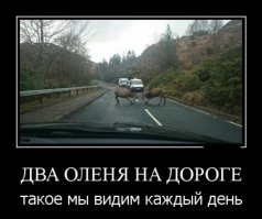 Быдло с дубинкой на Прадо