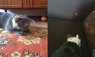 Надо лишь ...