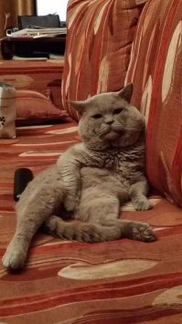 Он просто не умеет балдеть лёжа