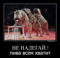 Дружба гиппопотама и человека