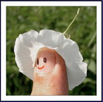 А вот они - пальчики