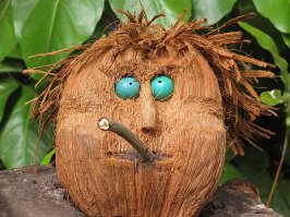  Как делают кокосовое масло