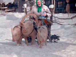 Выпил? Поехали домой?