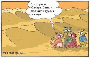 А ведь сахара была когда то зеленой