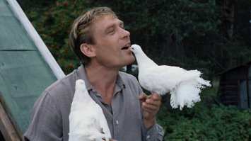 Что смотреть на каникулах: фильмы о безумной любви