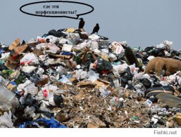 Рай перфекциониста