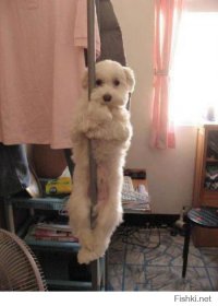 Домашний стриптиз в фотографиях Тома Сандерса