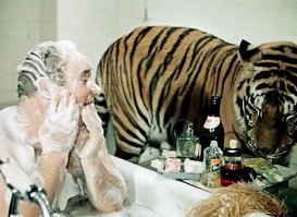 Австралийский отель, в котором можно пообедать со львами