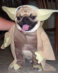 Отличный косплей от мастеров перевоплощения 