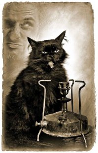 Советской дедовщине посвящается