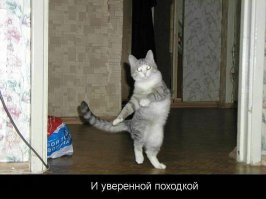 А шёл, наверное, вот так?