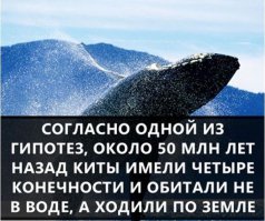 Так УДИВИТЕЛЬНЫЕ ФАКТЫ или ГИПОТЕЗЫ?