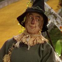 зачастую от небольшого ума, храбрость переходит в безрассудство