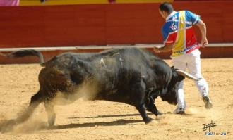 Испанские тореадоры отдыхают, а тут без сабли чувак зашугал быка