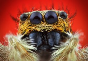 Этот чувак ходит в 3Д кинотеатр без спец очков :)