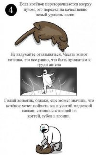 Значит вам повезло больше, чем другим владельцам кошек)