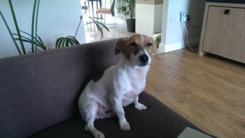 мой задумчивый :)