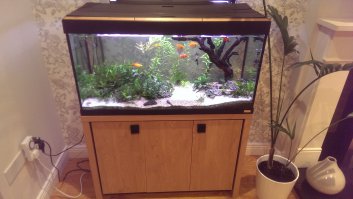 вот мой, поменял не давно 100л на 200л