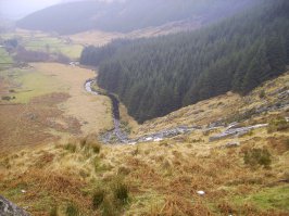 тоже ирландия. из личного альбома.