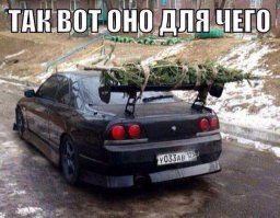 17 предновогодних безумий, от которых тебе снесет крышу 