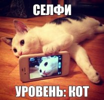 Самые глупые и неуместные селфи 2014 года