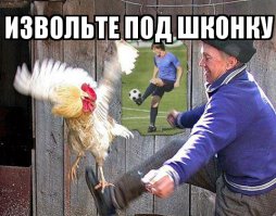 Это герб Польши и я поляк. А ты, укроп сука, будешь мне ножки лизать, когда я к тебе на землю приду. И будешь сосать мой панский <span style='color:gray'>[мат]</span>. Умойся пидрила. и да