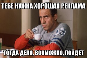 Почему на улицах столько бездомных животных