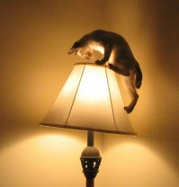 Кошмары случайных попутчиков