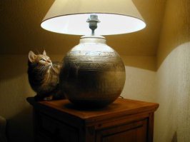 Муж за порог, к ней мужики