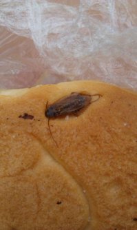 Повар виртуоз