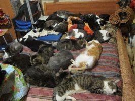 Размышление девушки о безопасности