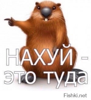 Настоящая фамилия Петра Порошенко
