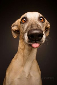  Замечательные фотографии, которые вызывают улыбку и восторг