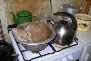 50 примеров того, что некоторым людям нельзя готовить 