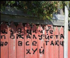 Питерское быдло самое культурное быдло в мире)