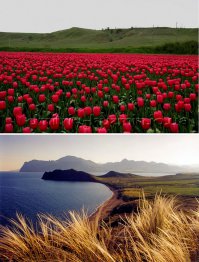 Наш Крым