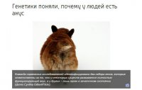 А мы не знали зачем?