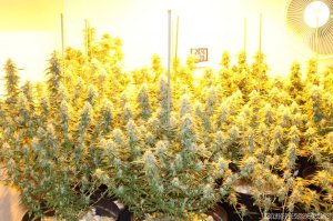 А лучше лампочки использовать так...