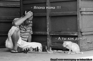 Это прекрасно!