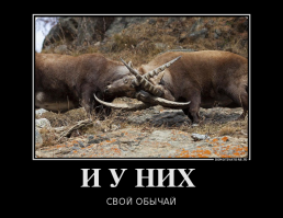 Борьба за почетное место