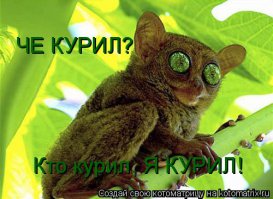 Весёлые столбы