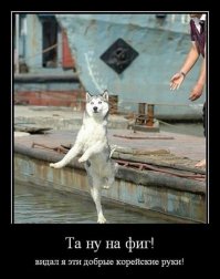 Походу корейский волк))