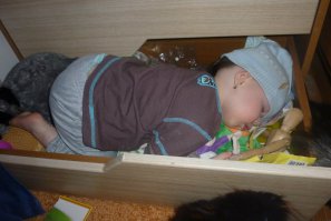 Могущественная сила сна