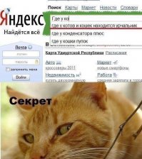 он у них везде))))