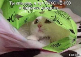  Ведро с сюрпризом