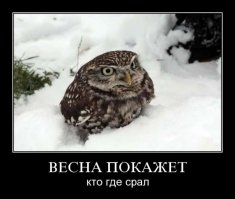 Сборка моих картинок