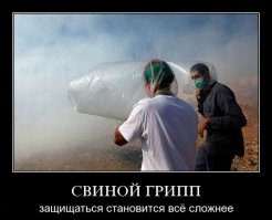 Упаковка года 